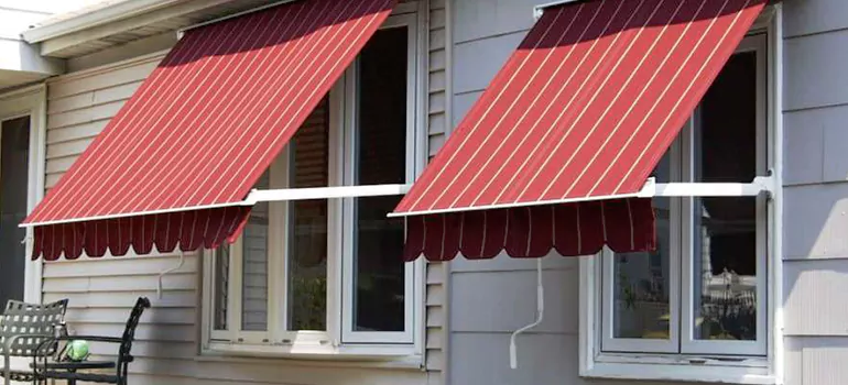 Government Rebate Window Replacement in Port Orange, FL