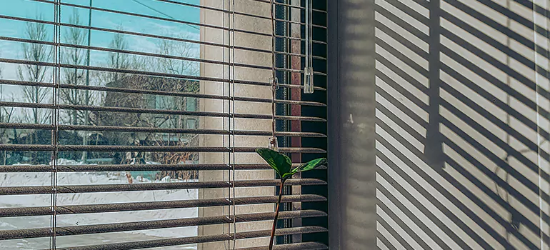 Commercial Window Blinds in Port Orange, FL
